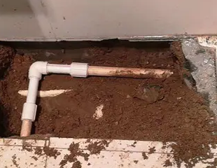 奎屯测漏水哪家好