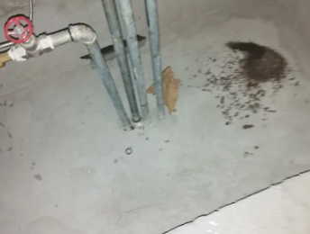 奎屯卫生间测漏水价格明细